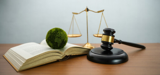 Gavel and book surrounded by a circle of leaves