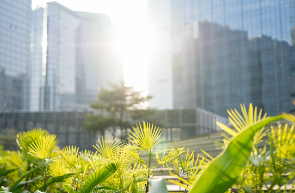 Sunlight pierces through modern skyscrapers, casting a warm glow over vibrant green foliage