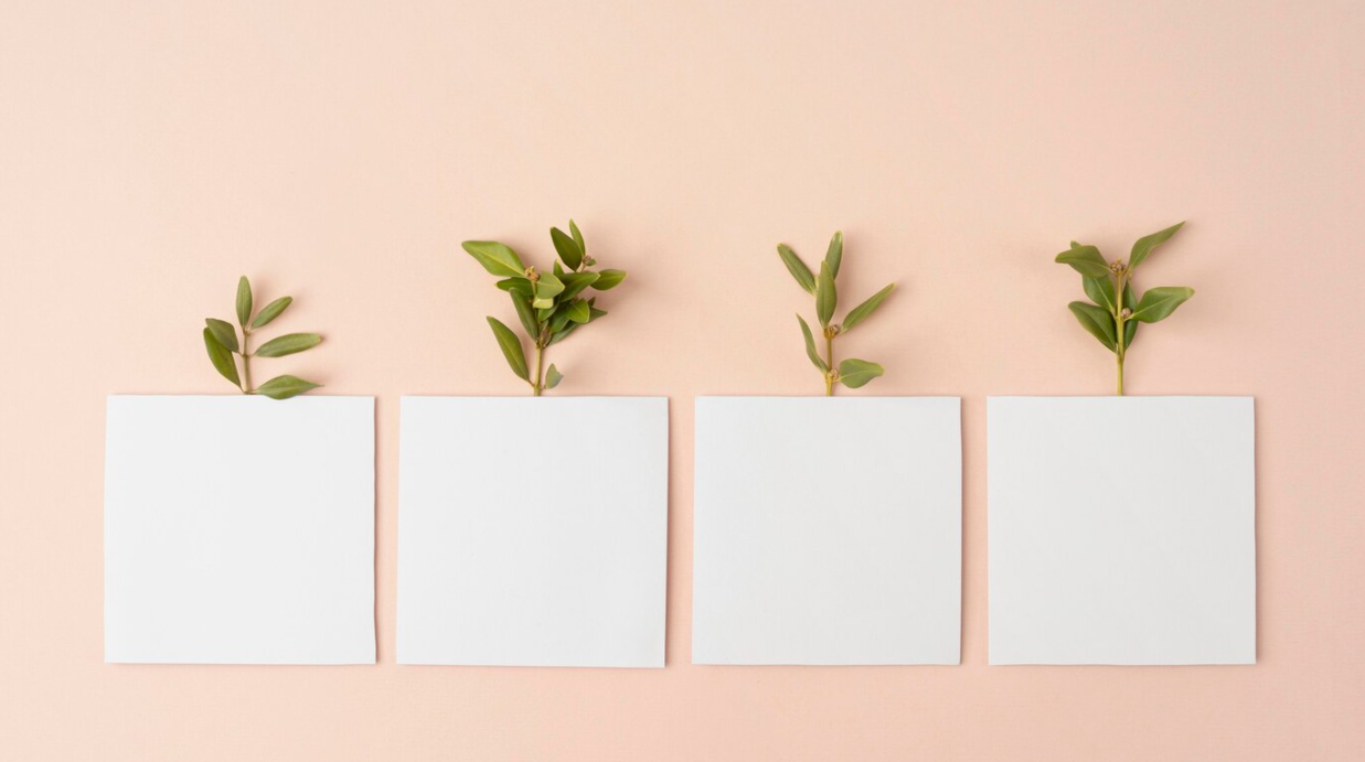 How Eco-Minimalism Can Transform Your Lifestyle