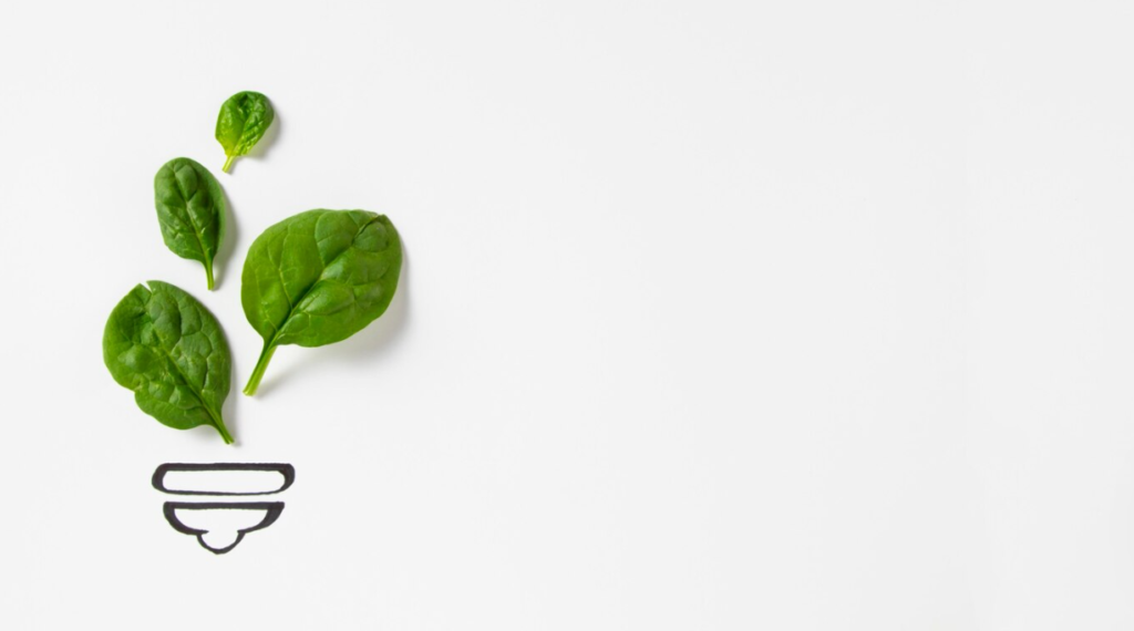 green leaves on a plain white background