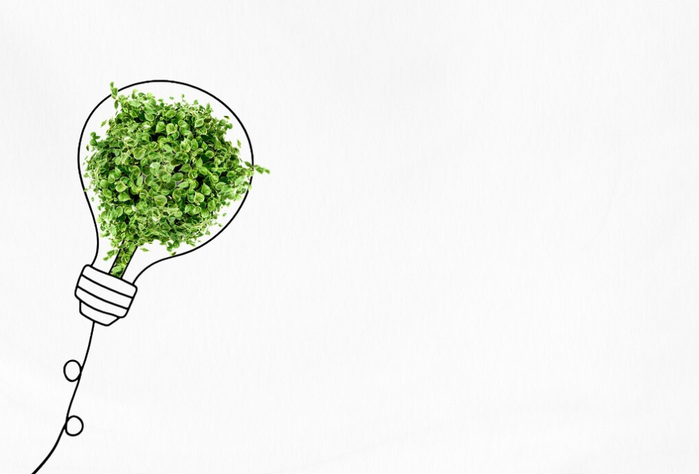 The Green Business Blueprint: Your Eco-Entrepreneur Guide